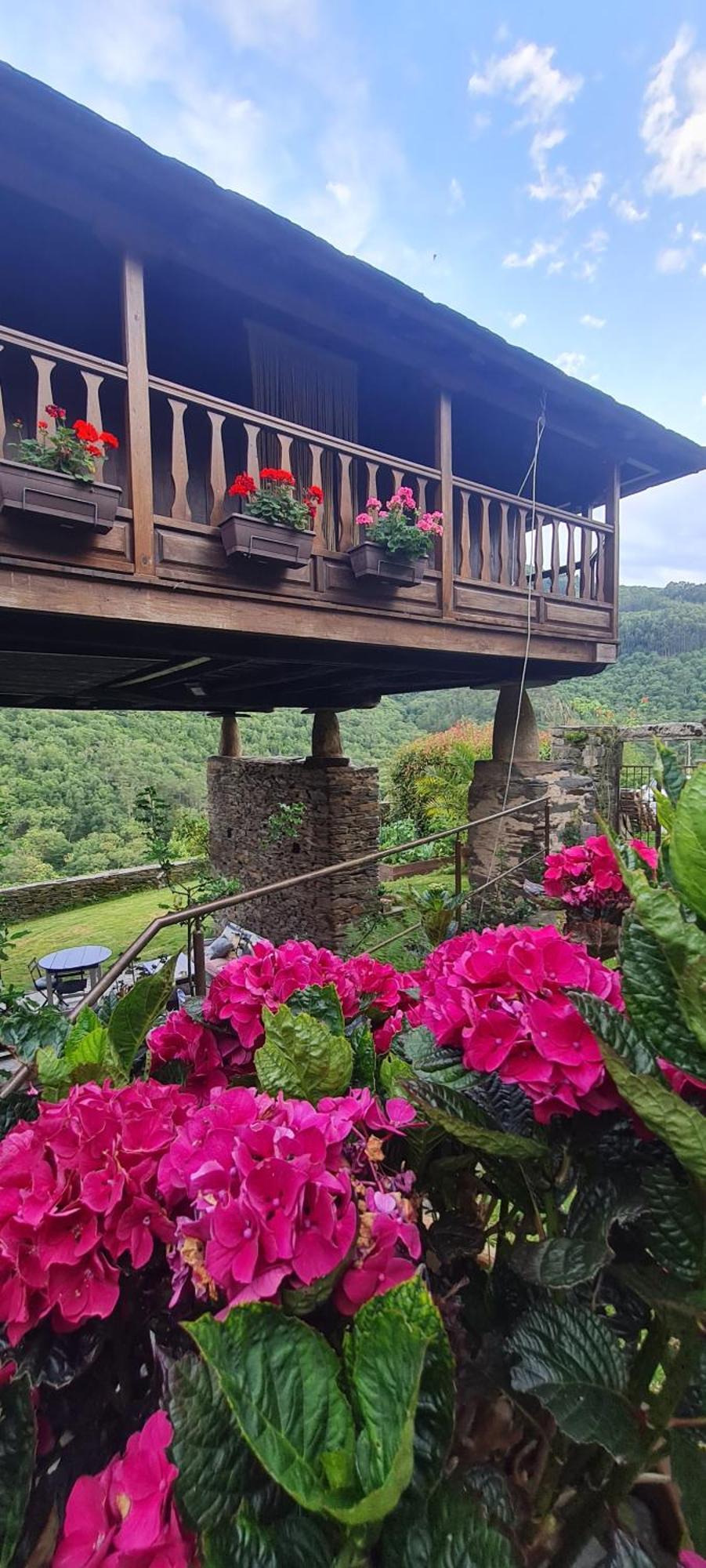 Apartamentos Rurales El Bosque De Las Vinas Boal Zewnętrze zdjęcie